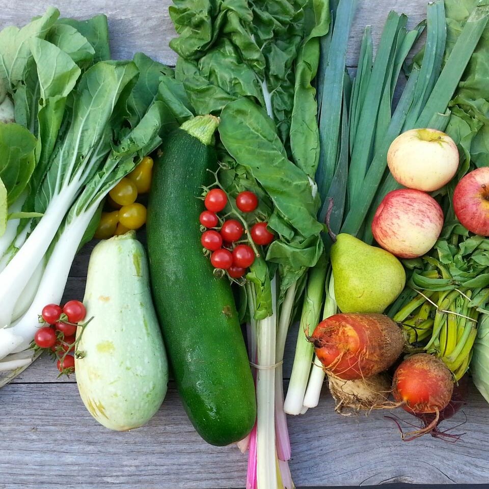 Wingham Farmers Market - Things to do in Forster-Tuncurry NSW